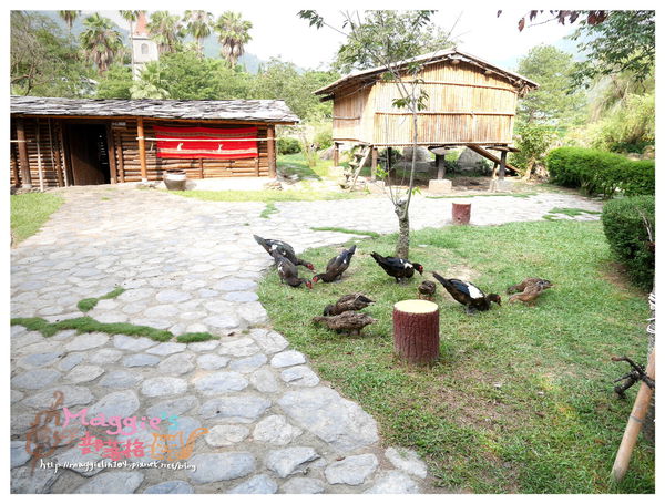 泰雅渡假村 (41).JPG