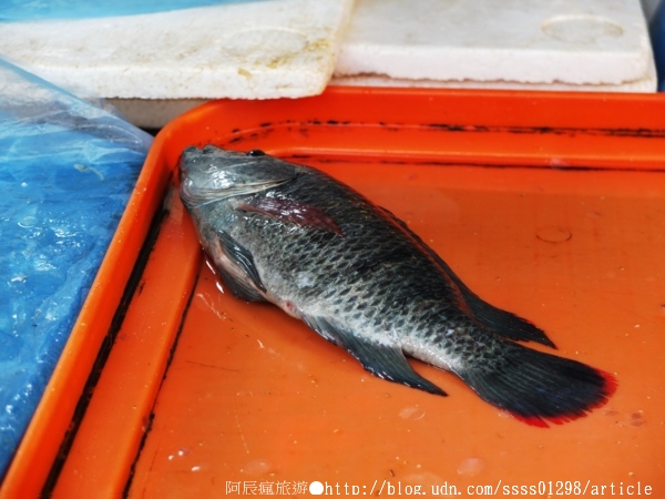 嘉義東市場:【旅行遊記。嘉義市】東市場。嘉義人的大廚房 保有古老風味的大市場