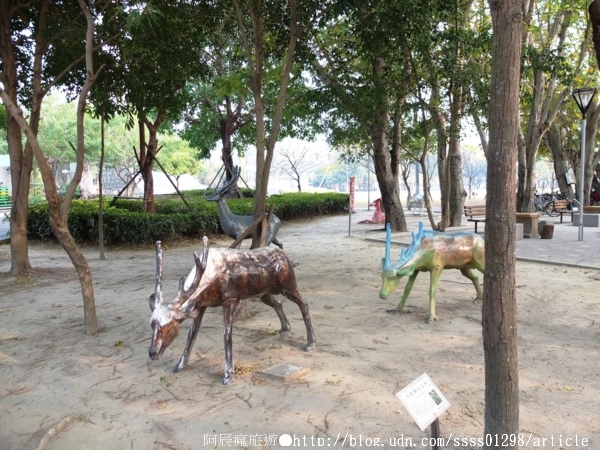 南瀛綠都心5號公園：【旅行遊記。台南新營區】南瀛綠都心公園。擁有80多年歷史老公園 新營人成長時的記憶