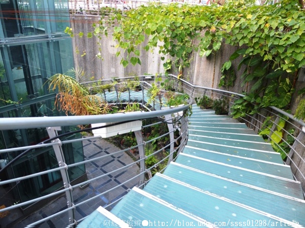 南瀛綠都心5號公園：【旅行遊記。台南新營區】南瀛綠都心公園。擁有80多年歷史老公園 新營人成長時的記憶