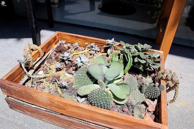 Colive Tea House (2)