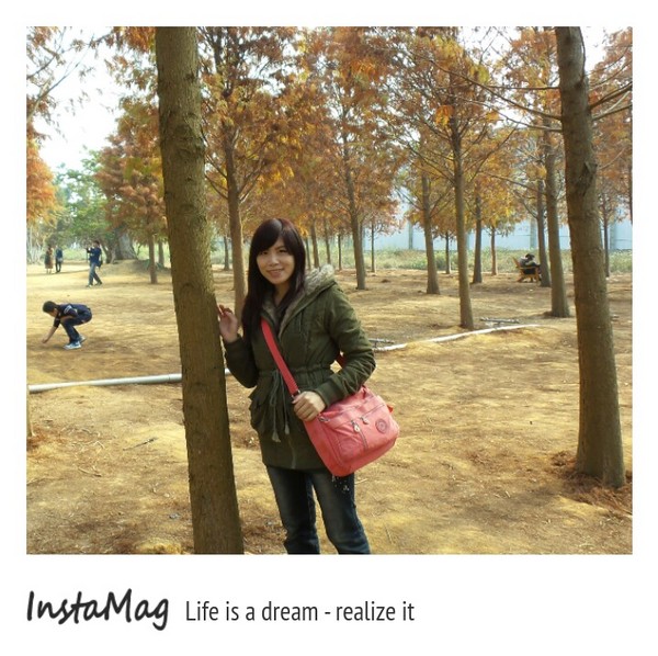 南投市八卦路落羽松秘境：南投市八卦路落羽松秘境