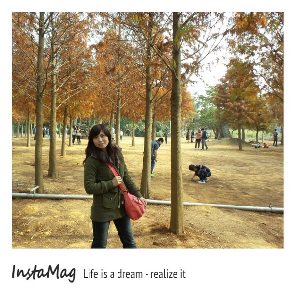 南投市八卦路落羽松秘境：南投市八卦路落羽松秘境