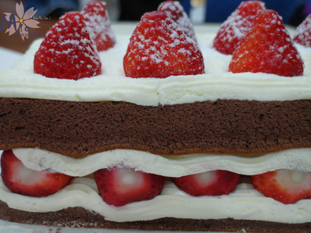 巧可力近照 拷貝.jpg