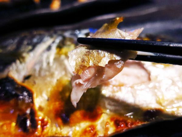 【板橋】9%酒趴串燒Bar-大口吃肉飲酒作樂-居酒屋