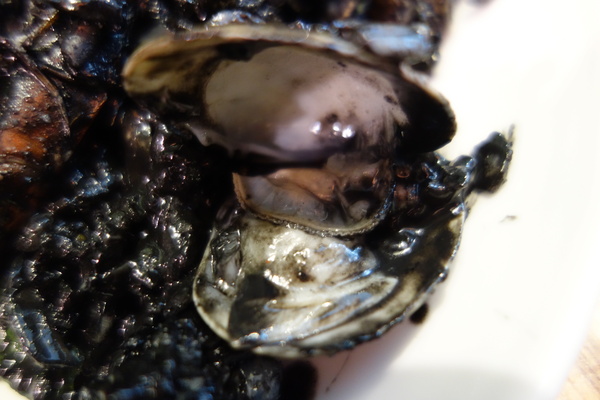 披薩工廠PizzaFactory：1040111[官本金文愛台灣]台中市霧峰區創始店披薩工廠PizzaFactory單點附贈濃湯平日超值午餐大優惠飲料無限暢飲喝到飽