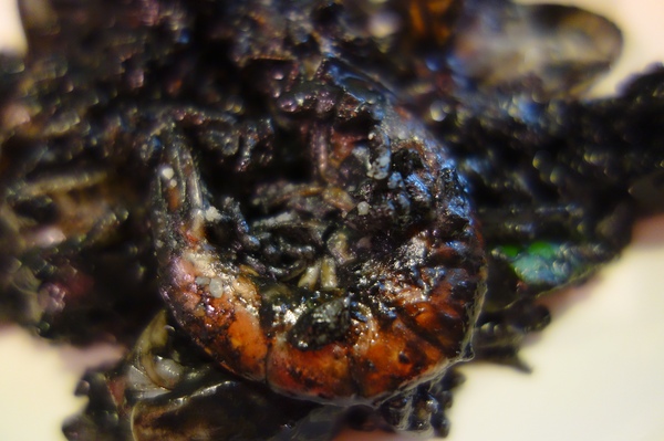 披薩工廠PizzaFactory：1040111[官本金文愛台灣]台中市霧峰區創始店披薩工廠PizzaFactory單點附贈濃湯平日超值午餐大優惠飲料無限暢飲喝到飽