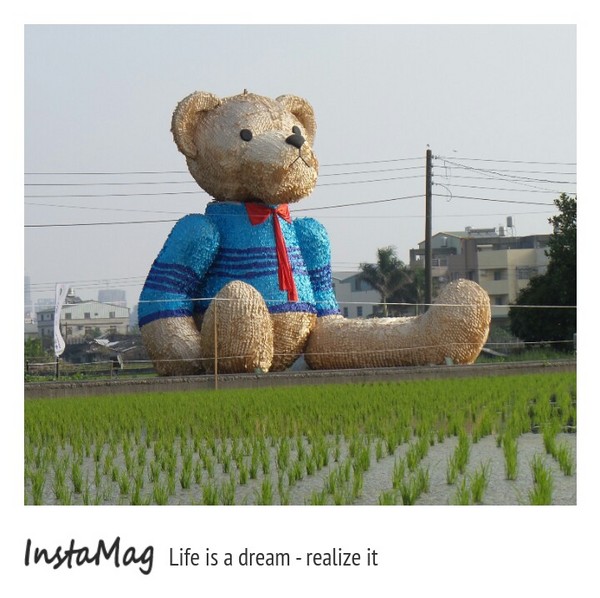 台中地景節之 迷失的小熊：台中地景藝術節~迷失的小熊