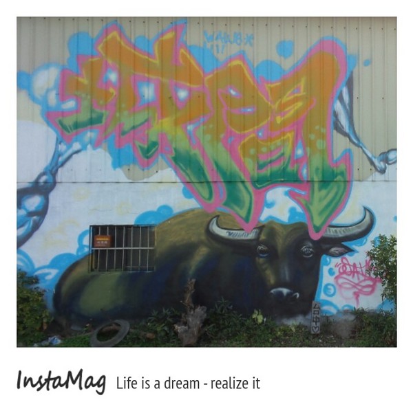 台中地景節之 迷失的小熊：台中地景藝術節~迷失的小熊