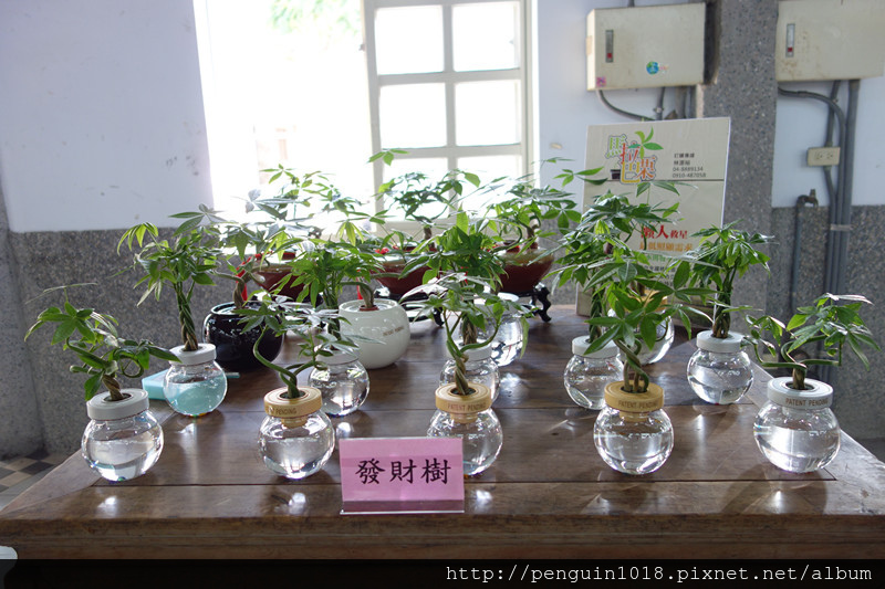 DSC07030