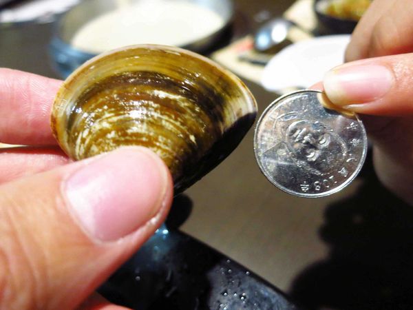 【新莊火鍋】二木坊日式涮涮鍋火鍋店-活蝦群舞美味鮮甜