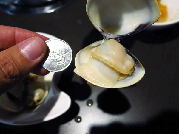 【新莊火鍋】二木坊日式涮涮鍋火鍋店-活蝦群舞美味鮮甜