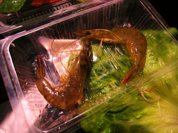 武藏亭日本料理:台中日式料理 ❤ 武藏亭日本料理