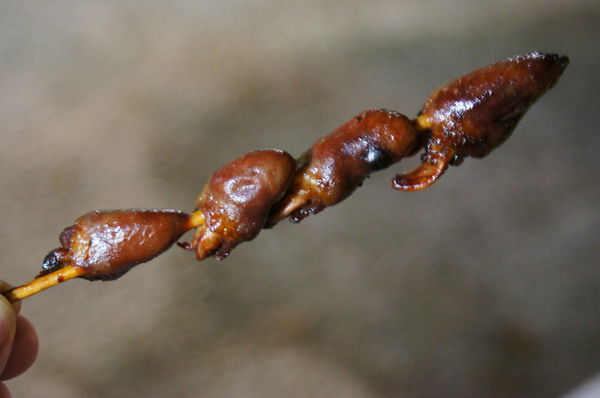 宜蘭羅東夜市-推薦美食簡單美味［可口香碳烤］