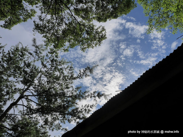 禪與松休閒養生會館：【景點】南投禪與松休閒養身會館@水里 : 最後的秘境？! 私人招待所變身檜木屋度假山莊