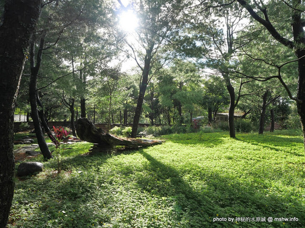禪與松休閒養生會館：【景點】南投禪與松休閒養身會館@水里 : 最後的秘境？! 私人招待所變身檜木屋度假山莊