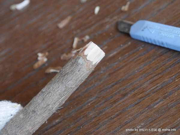 禪與松休閒養生會館：【景點】南投禪與松休閒養身會館@水里 : 最後的秘境？! 私人招待所變身檜木屋度假山莊