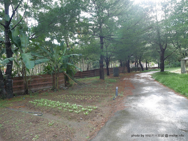 禪與松休閒養生會館：【景點】南投禪與松休閒養身會館@水里 : 最後的秘境？! 私人招待所變身檜木屋度假山莊