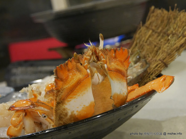 禪與松休閒養生會館：【景點】南投禪與松休閒養身會館@水里 : 最後的秘境？! 私人招待所變身檜木屋度假山莊