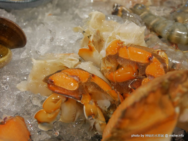 禪與松休閒養生會館：【景點】南投禪與松休閒養身會館@水里 : 最後的秘境？! 私人招待所變身檜木屋度假山莊