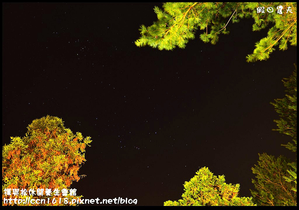 禪與松休閒養生會館DSC_1282