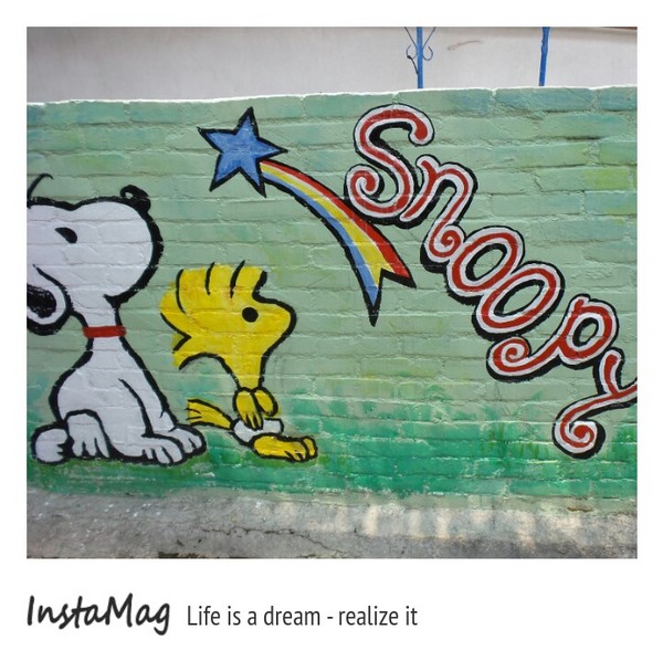 大內區石林里-騎偉士牌尋找龍貓亭：★台南景點★~♞大內龍貓彩繪村♞