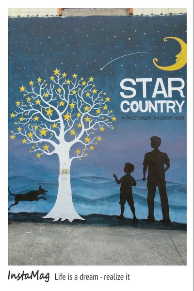 大內區石林里-騎偉士牌尋找龍貓亭：★台南景點★~♞大內龍貓彩繪村♞