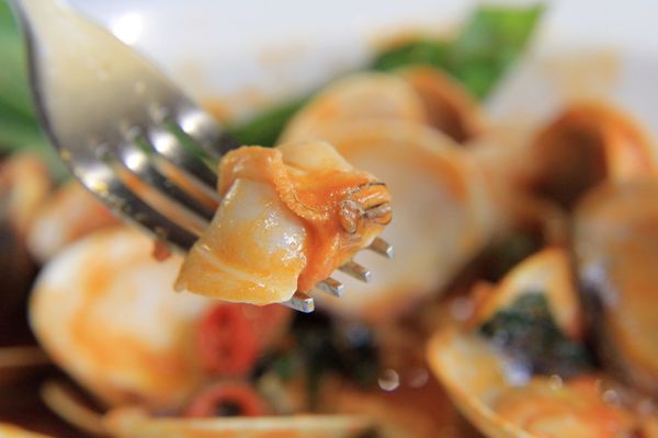 蝸牛義大利餐廳