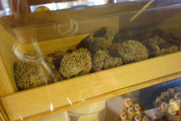 清水堂愛玉專賣店:台南中西區 清水堂愛玉冰 特色金牌料理愛玉冰 紅豆湯冰芋頭又迷又香又好吃