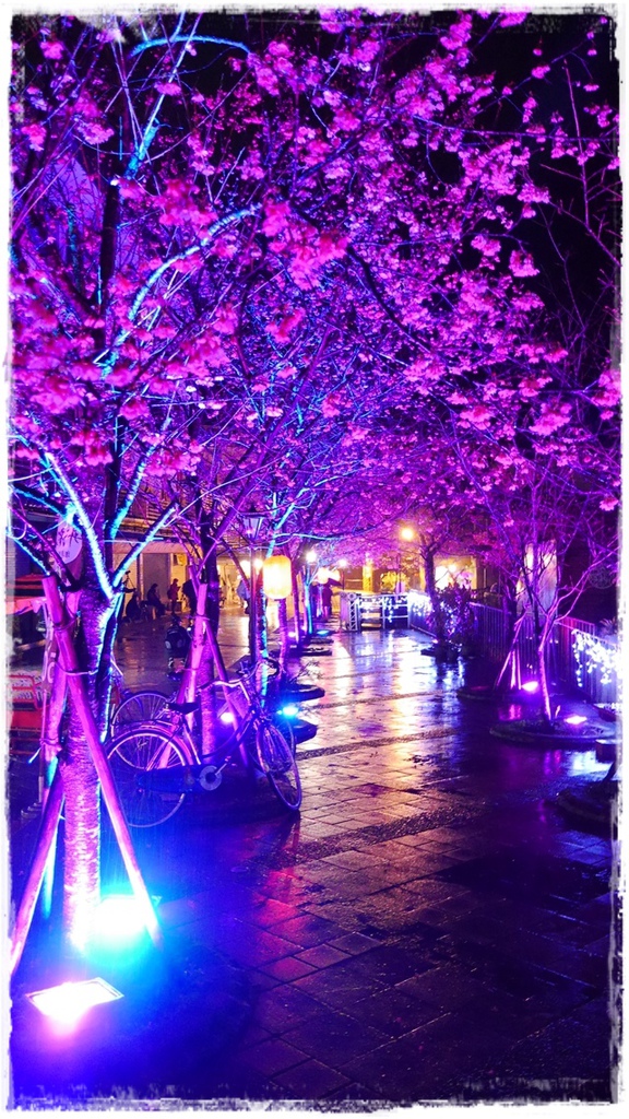 2015烏來瀑布浪漫櫻光夜:【新北◍•ᴗ•◍烏來】烏來勇士廣場✯夜櫻景點・2015烏來瀑布浪漫櫻光夜賞夜櫻|烏來櫻花季-新北市烏來首次夜櫻活動