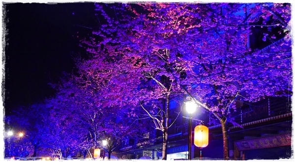 2015烏來瀑布浪漫櫻光夜:【新北◍•ᴗ•◍烏來】烏來勇士廣場✯夜櫻景點・2015烏來瀑布浪漫櫻光夜賞夜櫻|烏來櫻花季-新北市烏來首次夜櫻活動