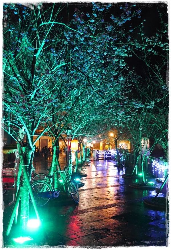 2015烏來瀑布浪漫櫻光夜:【新北◍•ᴗ•◍烏來】烏來勇士廣場✯夜櫻景點・2015烏來瀑布浪漫櫻光夜賞夜櫻|烏來櫻花季-新北市烏來首次夜櫻活動