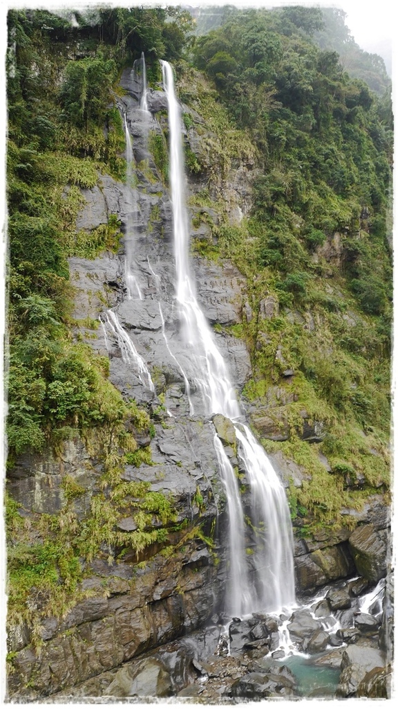 2015烏來瀑布浪漫櫻光夜:【新北◍•ᴗ•◍烏來】烏來勇士廣場✯夜櫻景點・2015烏來瀑布浪漫櫻光夜賞夜櫻|烏來櫻花季-新北市烏來首次夜櫻活動