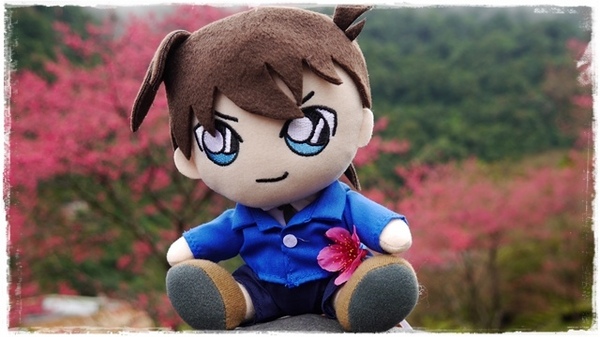 2015烏來瀑布浪漫櫻光夜:【新北◍•ᴗ•◍烏來】烏來勇士廣場✯夜櫻景點・2015烏來瀑布浪漫櫻光夜賞夜櫻|烏來櫻花季-新北市烏來首次夜櫻活動