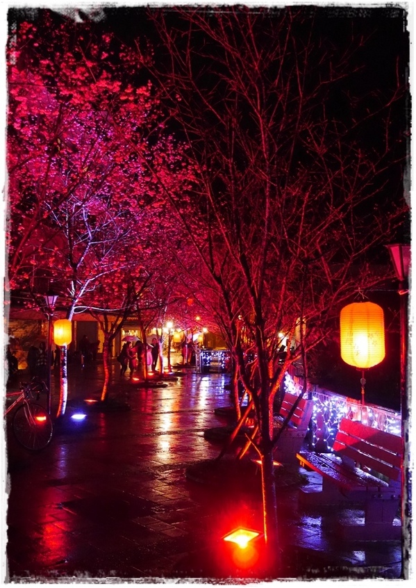 2015烏來瀑布浪漫櫻光夜:【新北◍•ᴗ•◍烏來】烏來勇士廣場✯夜櫻景點・2015烏來瀑布浪漫櫻光夜賞夜櫻|烏來櫻花季-新北市烏來首次夜櫻活動