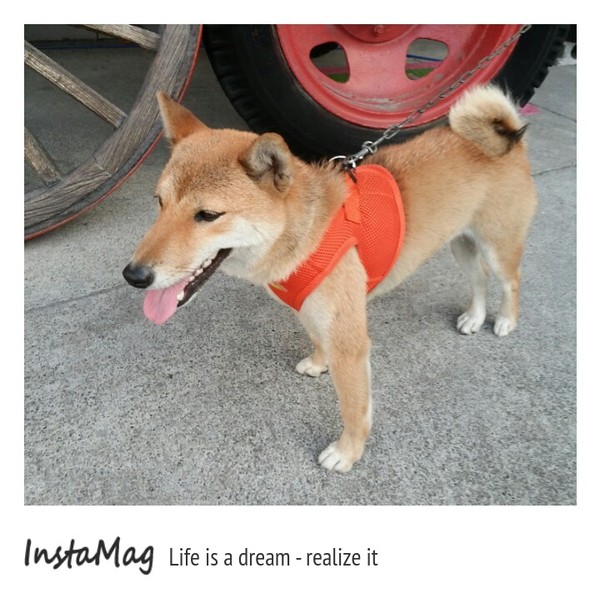 樂米工坊LeRiz：米做的健康養生蛋糕和麵包&樂米工坊LeRiz(米麵包觀光工廠)