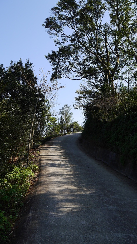 石碇鱷魚島：【新北◍•ᴗ•◍石碇】石碇鱷魚潭、潭腰景色攻略✯私房景點・絕美秘境石碇鱷魚島｜前往秘境路線走法大公開