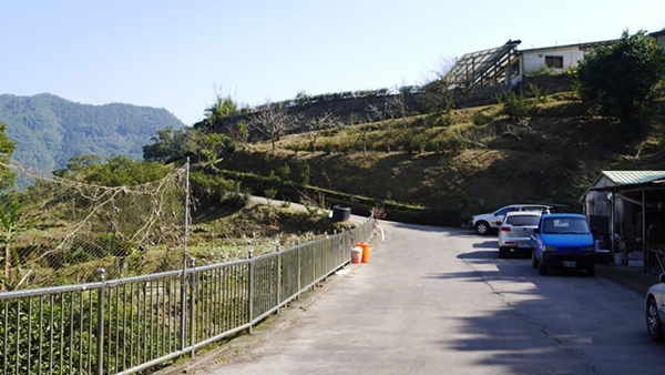 石碇鱷魚島：【新北◍•ᴗ•◍石碇】石碇鱷魚潭、潭腰景色攻略✯私房景點・絕美秘境石碇鱷魚島｜前往秘境路線走法大公開