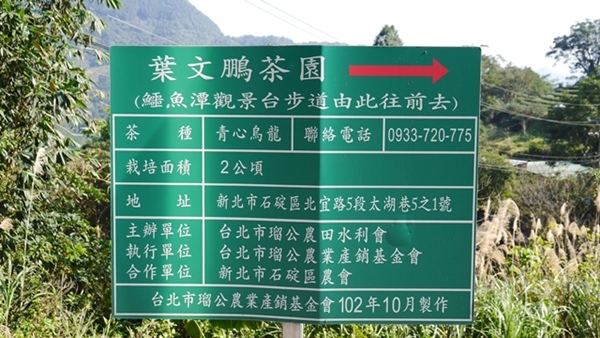 石碇鱷魚島：【新北◍•ᴗ•◍石碇】石碇鱷魚潭、潭腰景色攻略✯私房景點・絕美秘境石碇鱷魚島｜前往秘境路線走法大公開