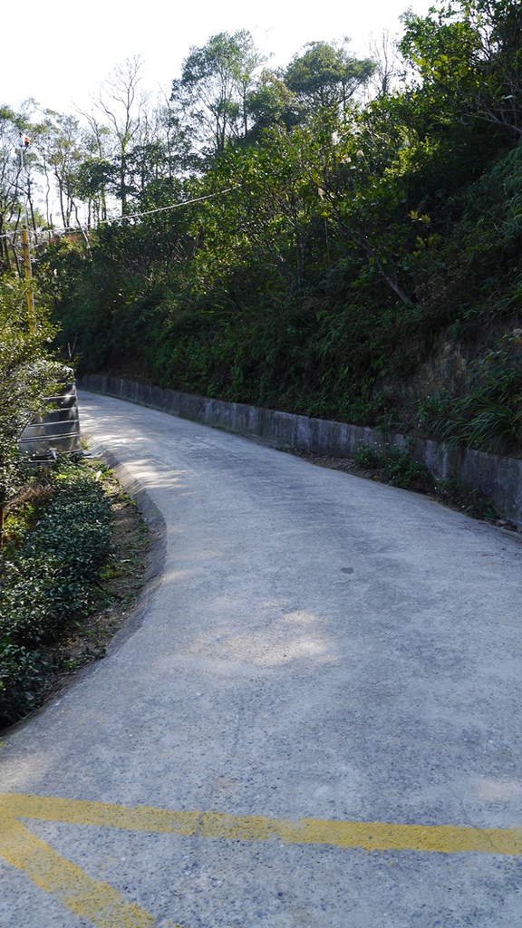 石碇鱷魚島：【新北◍•ᴗ•◍石碇】石碇鱷魚潭、潭腰景色攻略✯私房景點・絕美秘境石碇鱷魚島｜前往秘境路線走法大公開