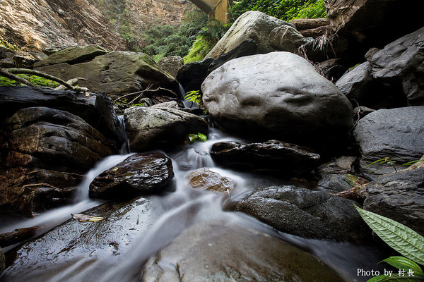 屏東縣霧台鄉霧台村：【遊記】｛屏東。霧台鄉｝尋找那不可一世的霧台櫻花王