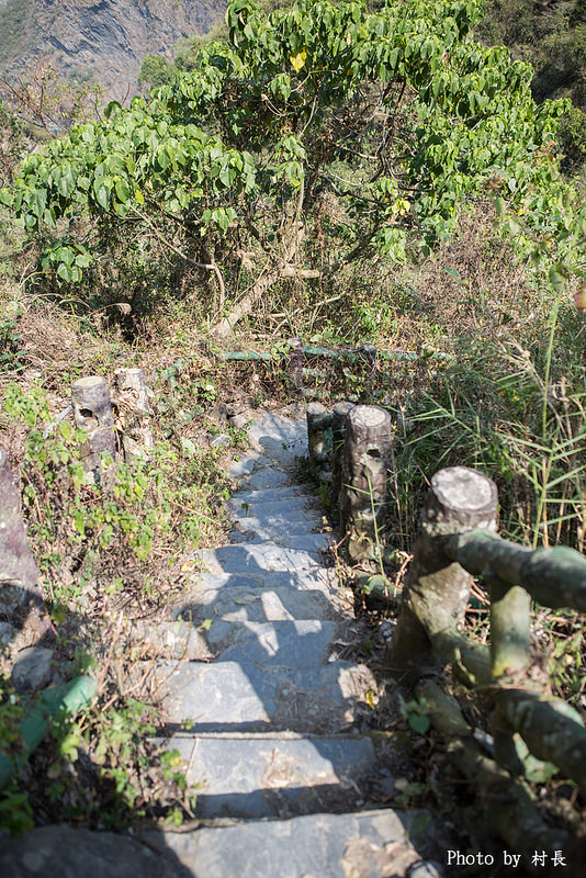 屏東縣霧台鄉霧台村：【遊記】｛屏東。霧台鄉｝尋找那不可一世的霧台櫻花王