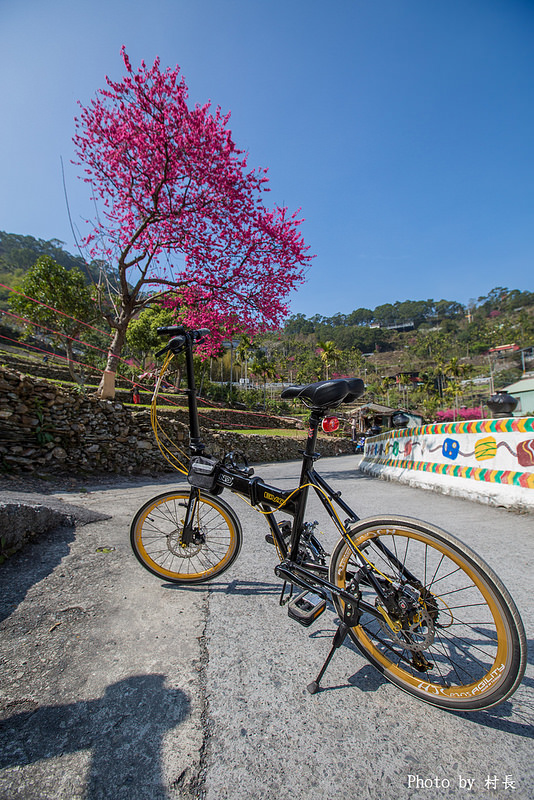 屏東縣霧台鄉霧台村：【遊記】｛屏東。霧台鄉｝尋找那不可一世的霧台櫻花王