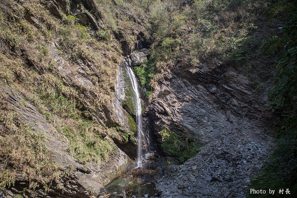 屏東縣霧台鄉霧台村：【遊記】｛屏東。霧台鄉｝尋找那不可一世的霧台櫻花王