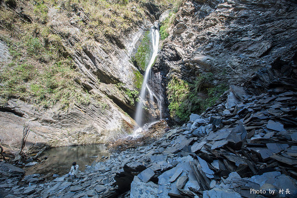 屏東縣霧台鄉霧台村：【遊記】｛屏東。霧台鄉｝尋找那不可一世的霧台櫻花王