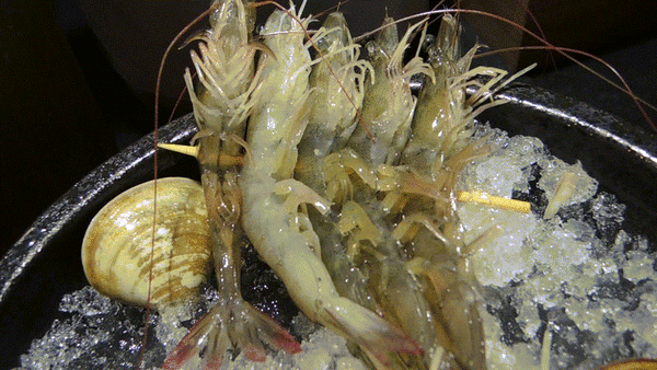 極禾優質鍋物：呷飽祙【台北中山･極禾優質鍋物】牛奶鍋養顏又美容