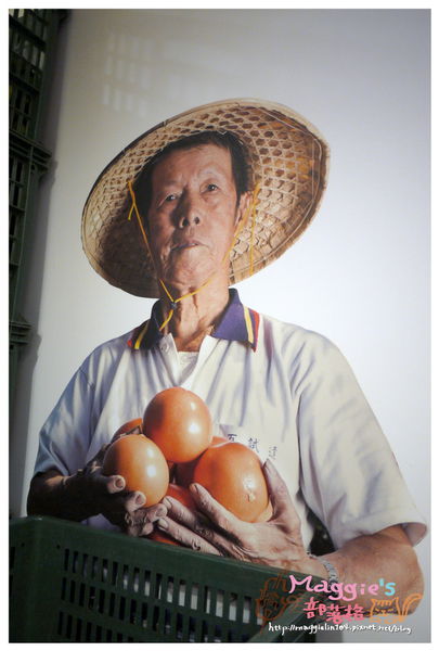 首採茶水舖 (20).JPG