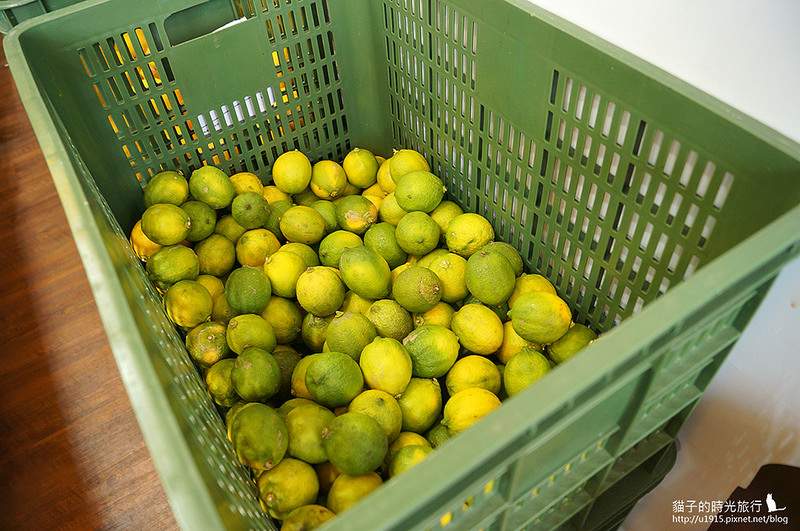 台中市龍井區_首採茶水舖