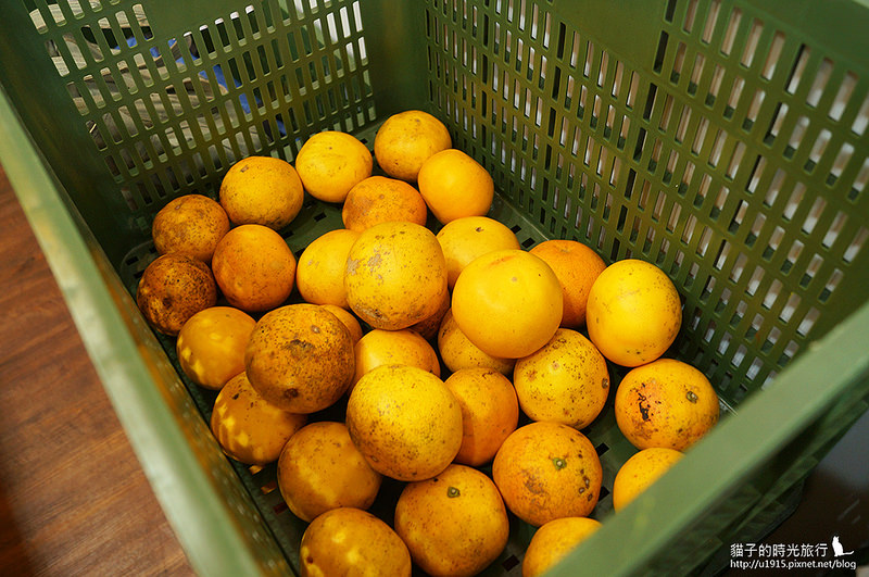 台中市龍井區_首採茶水舖