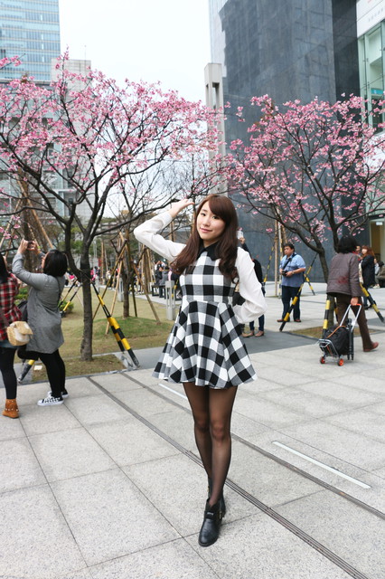 松壽廣場公園：<台北|信義>信義商圈粉紅小確幸櫻花林~松高路與松高路交叉口*松壽廣場公園*捷運市政府站